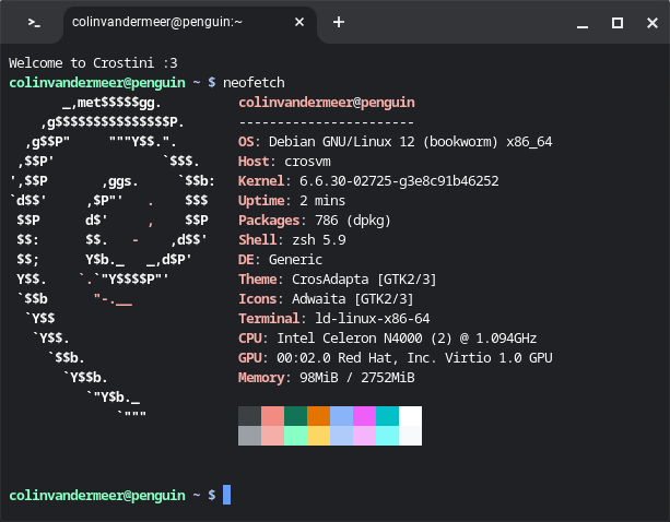 A screenshot of the Crostini terminal on ChromeOS